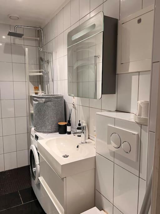 Royal Neighbourhood Elegant Flat In Central Oslo Zewnętrze zdjęcie