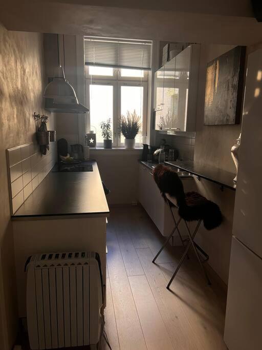 Royal Neighbourhood Elegant Flat In Central Oslo Zewnętrze zdjęcie